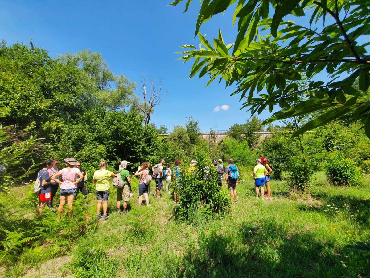 Trekking in vigna in Irpinia